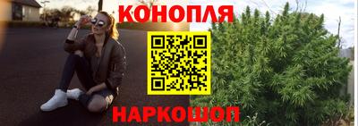 соль ск Славгород