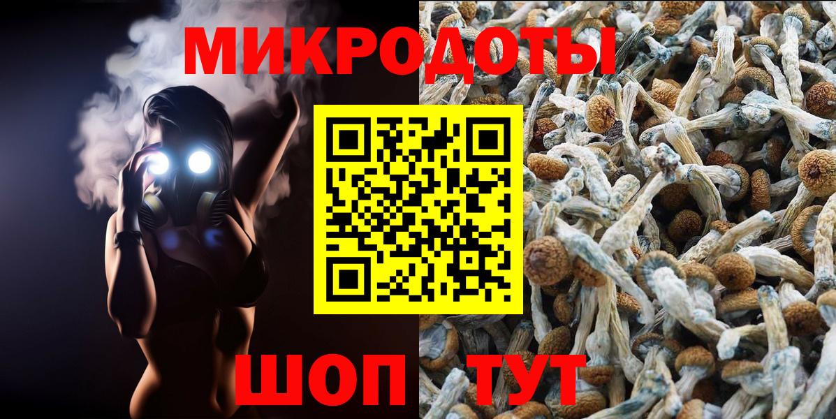 Галлюциногенные грибы ЛСД  Вход с VPN  Галлюциногенные грибы Psilocybine cubensis  Острогожск 