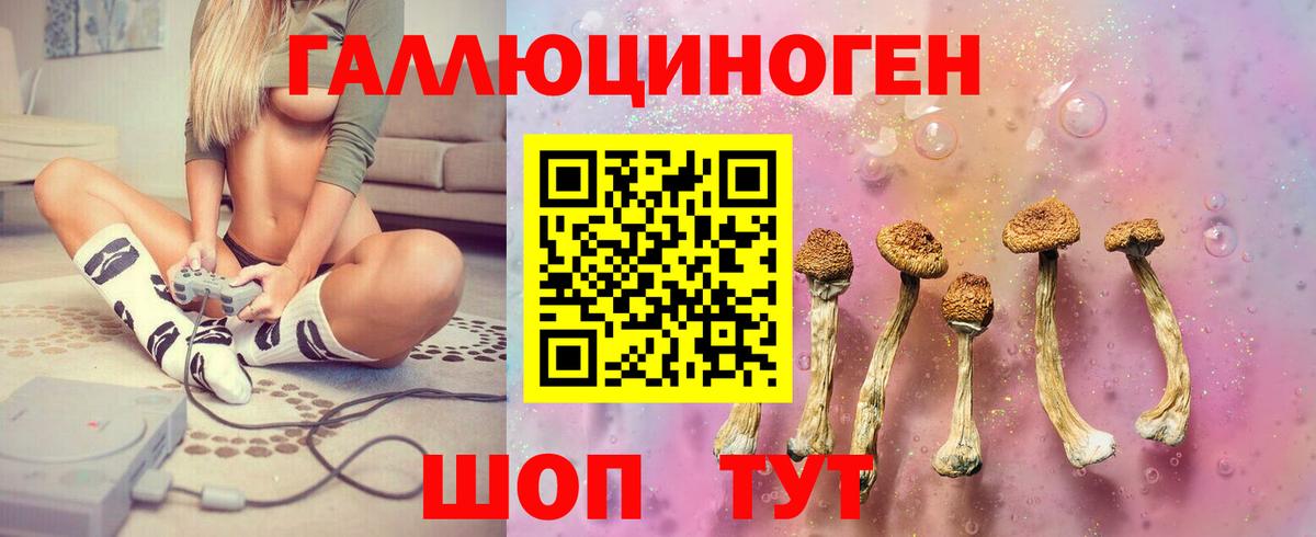 Псилоцибиновые грибы GOLDEN TEACHER Острогожск